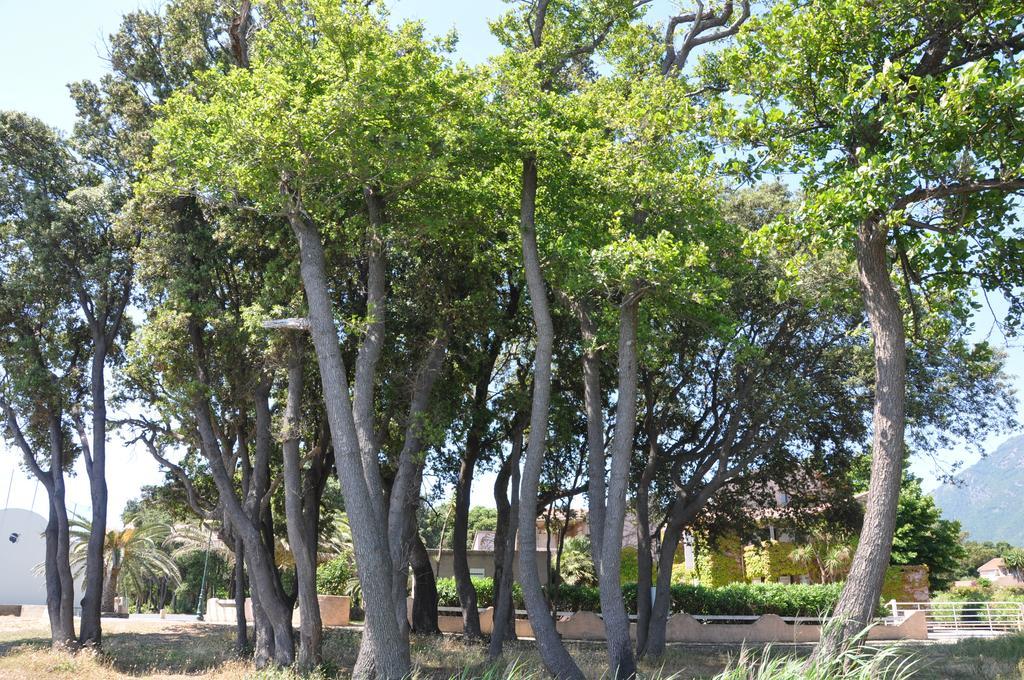 Sole E Mare Aparthotel Santa-Maria-Poggio  ภายนอก รูปภาพ